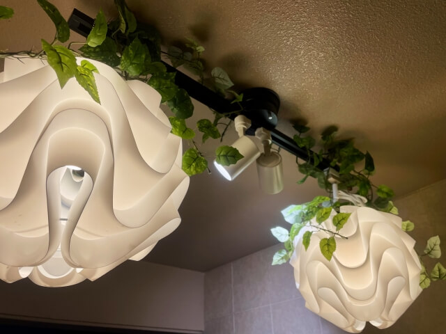 トータルデザインで統一感のある店舗づくり